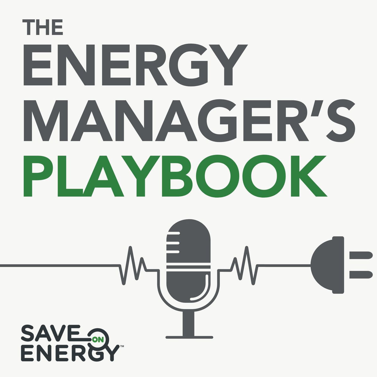 Show cover of The Energy Manager's Playbook