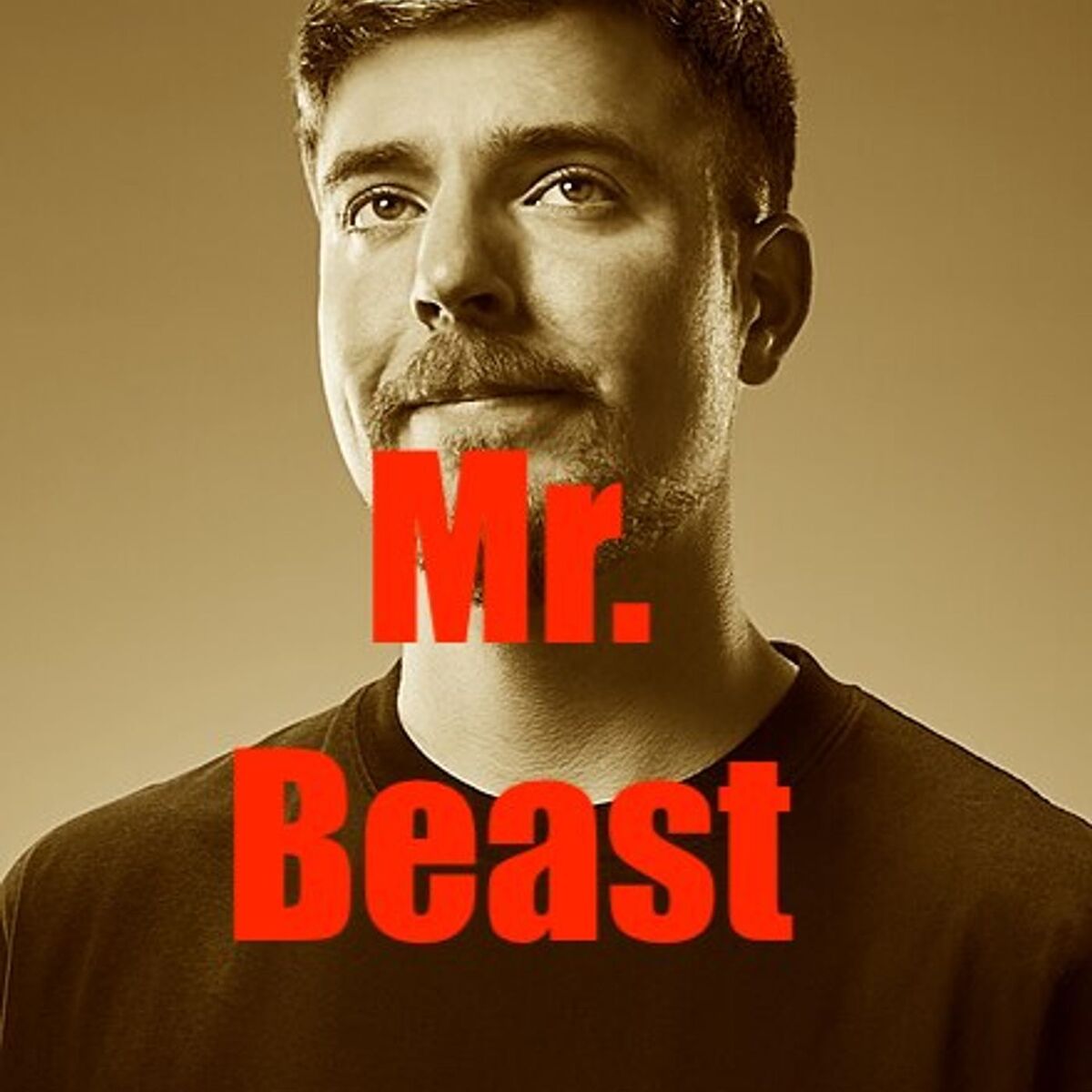 Show cover of Mr. Beast