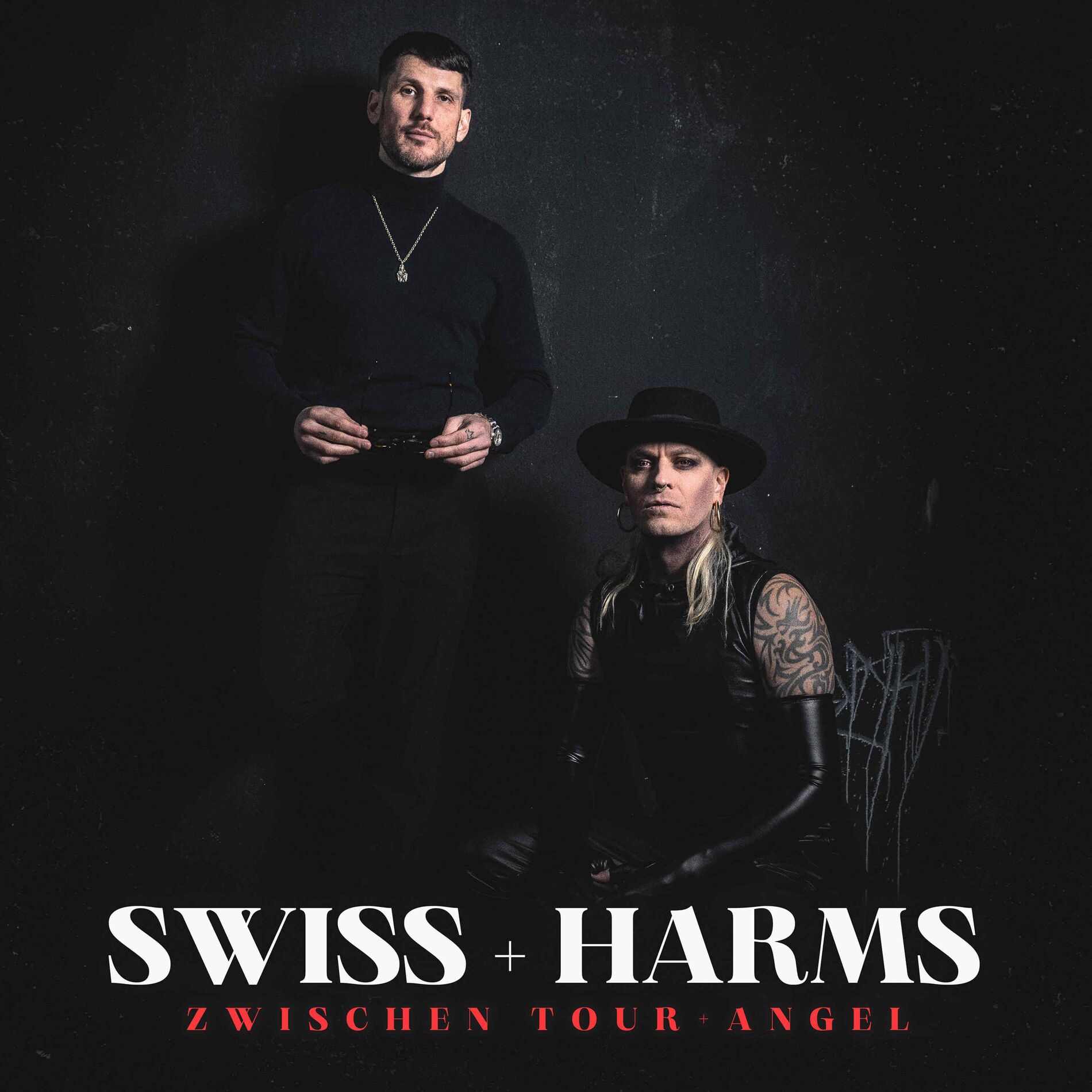 Show cover of SWISS+HARMS - ZWISCHEN TOUR+ANGEL