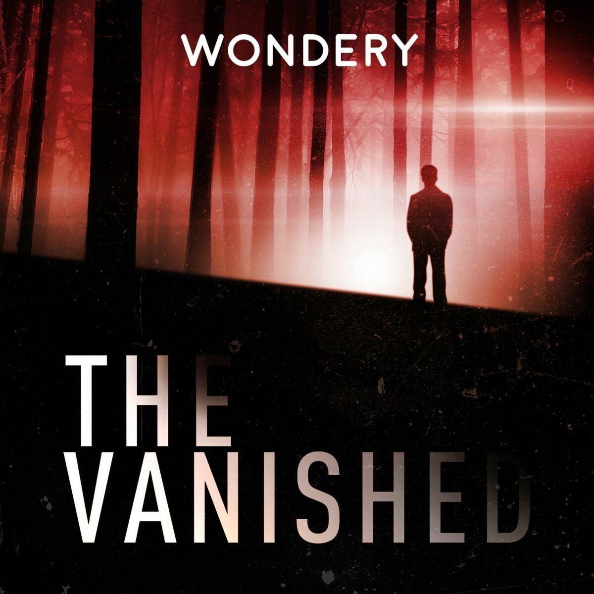 Show cover of The Vanished Podcast