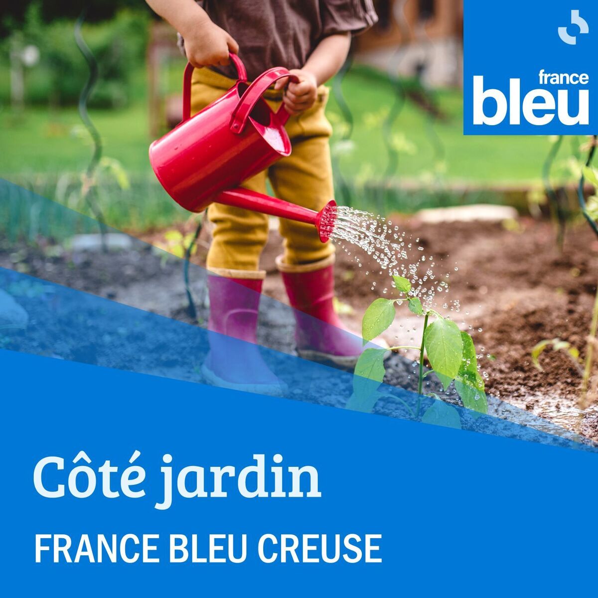 Show cover of France Bleu Creuse Côté Jardin