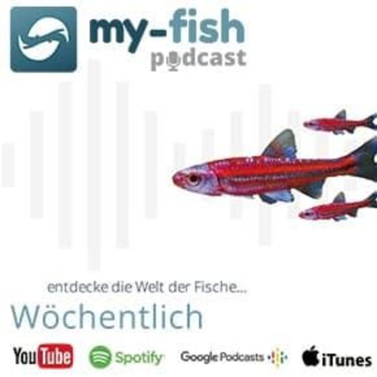 Show cover of my-fish.org – Aus Freude an der Aquaristik (Aus Freude an der Aquaristik Podcast)