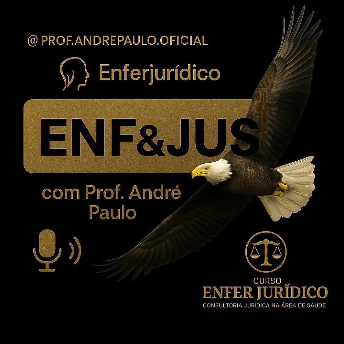 Show cover of CURSO DE DIREITO PARA CONCURSOS PÚBLICOS