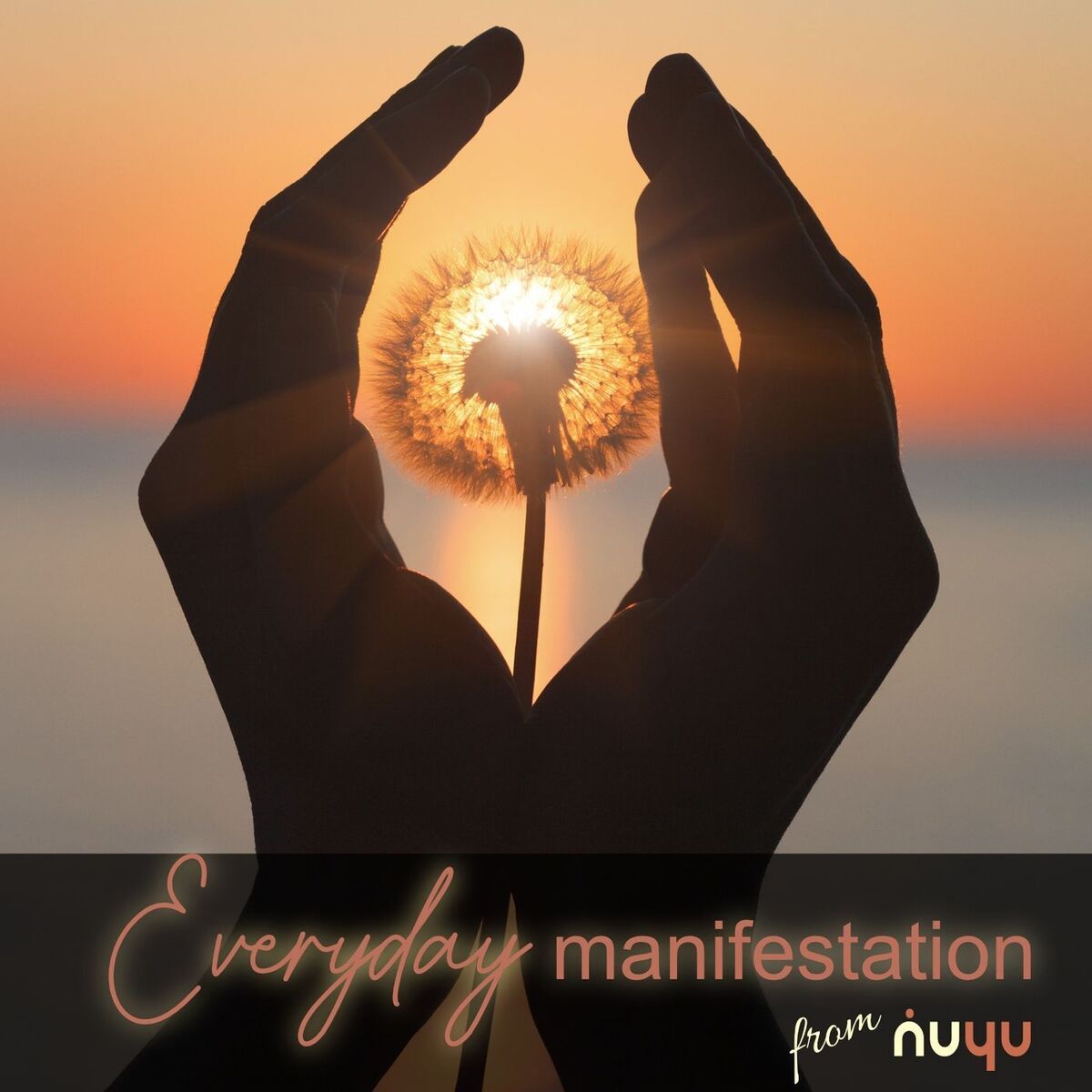 Show cover of Everyday Manifestation