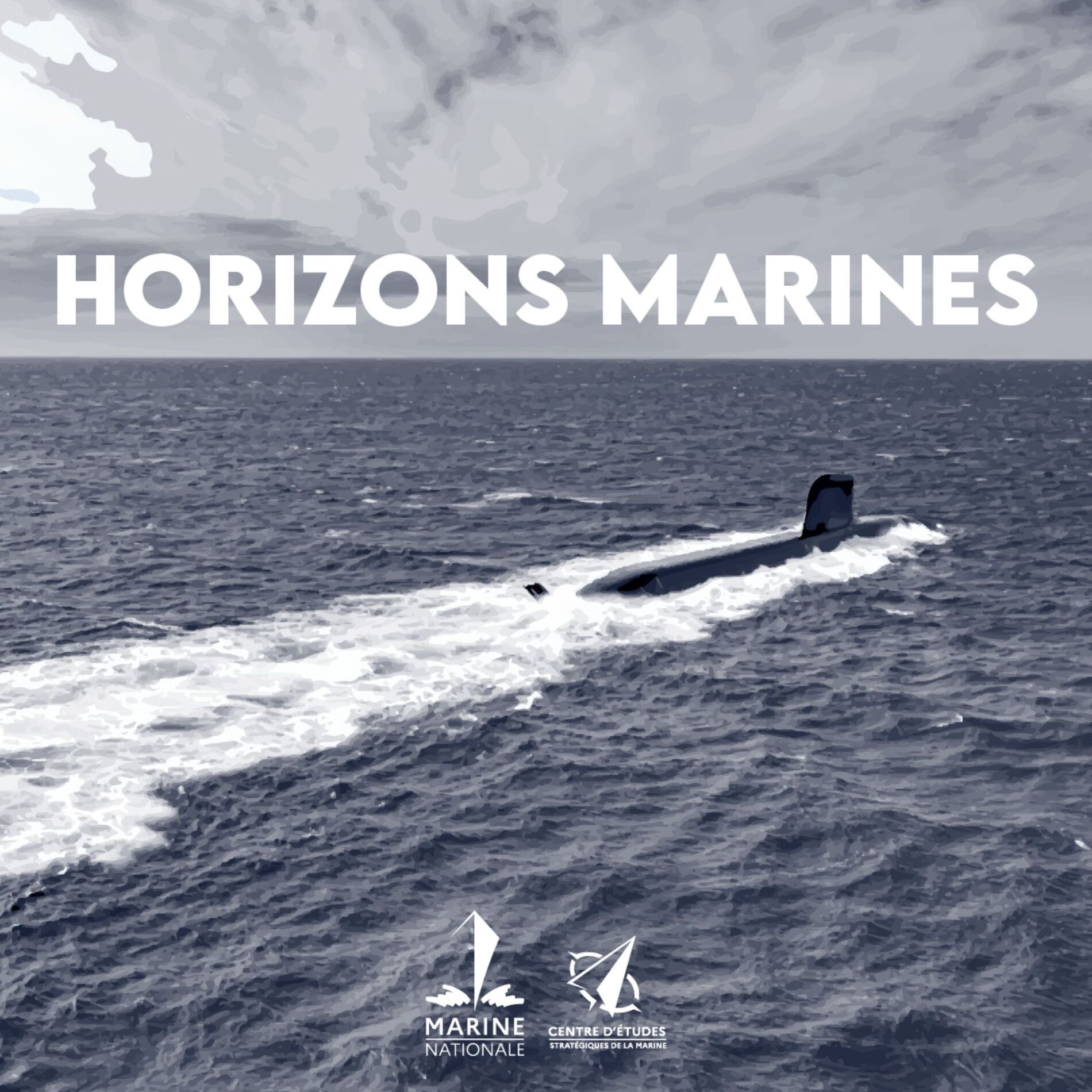 Show cover of Horizons Marines