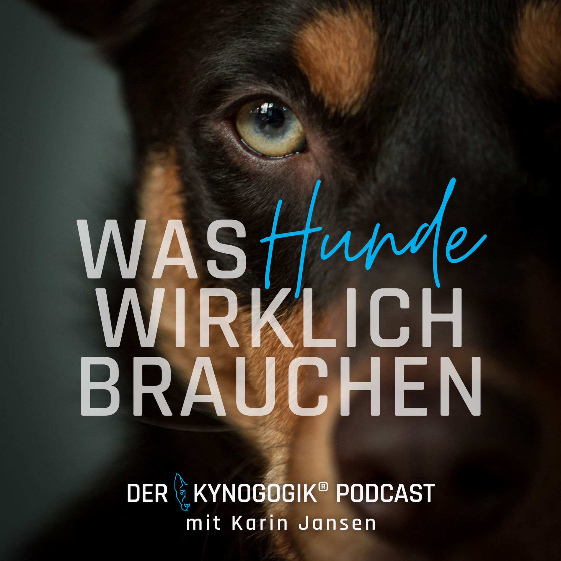 Show cover of Der Kynogogik® Podcast mit Karin Jansen – Was Hunde wirklich brauchen.
