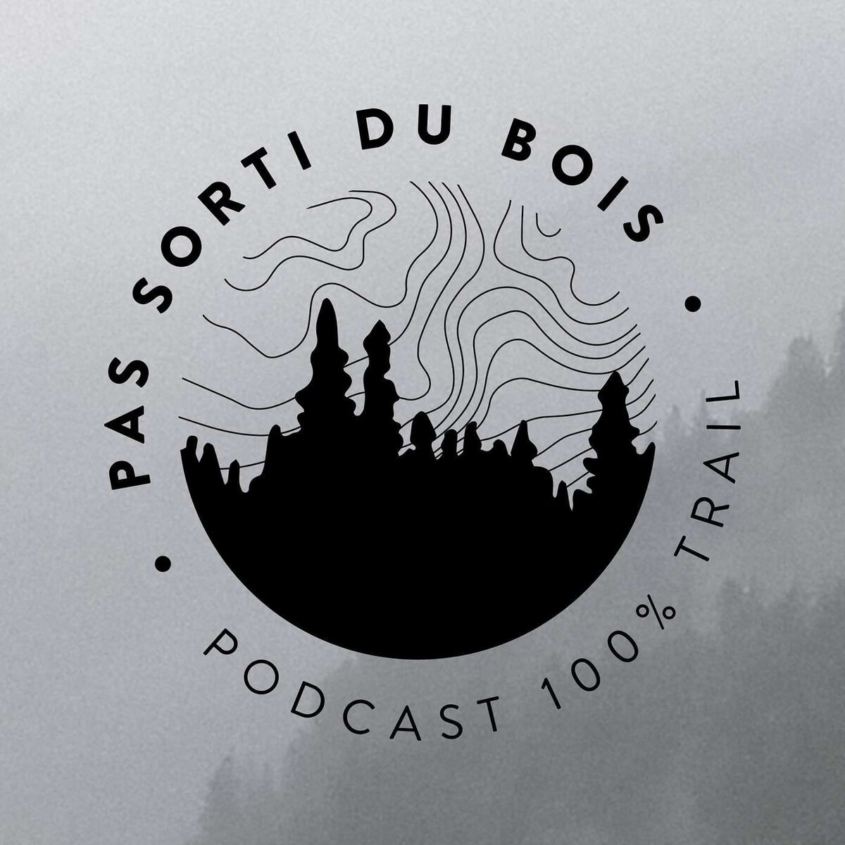 Show cover of Pas sorti du bois