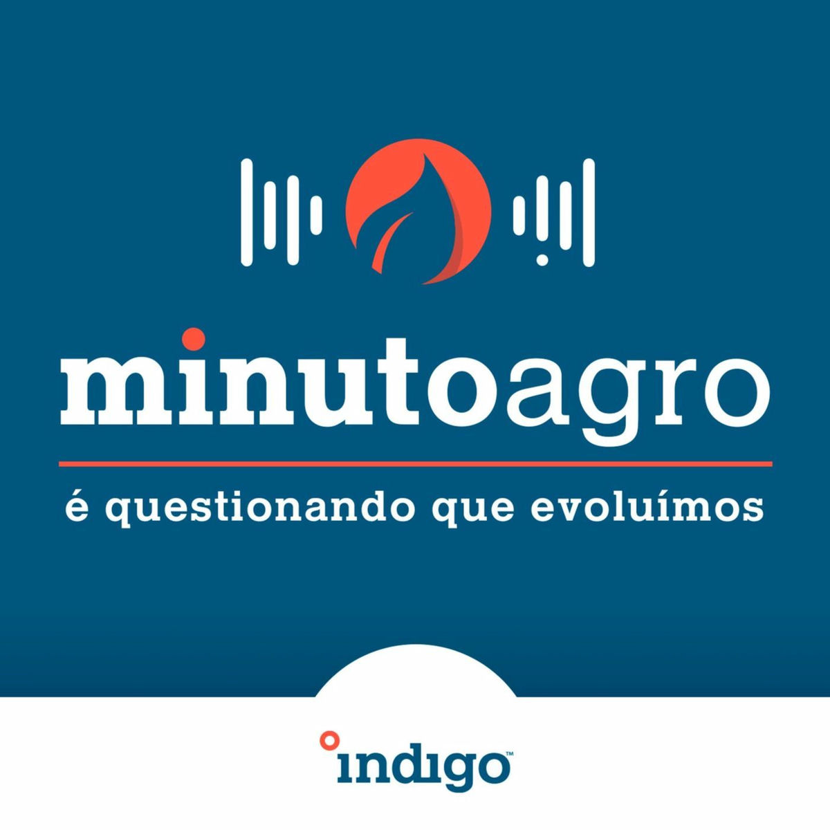 Show cover of Minuto Agro – É questionando que evoluímos
