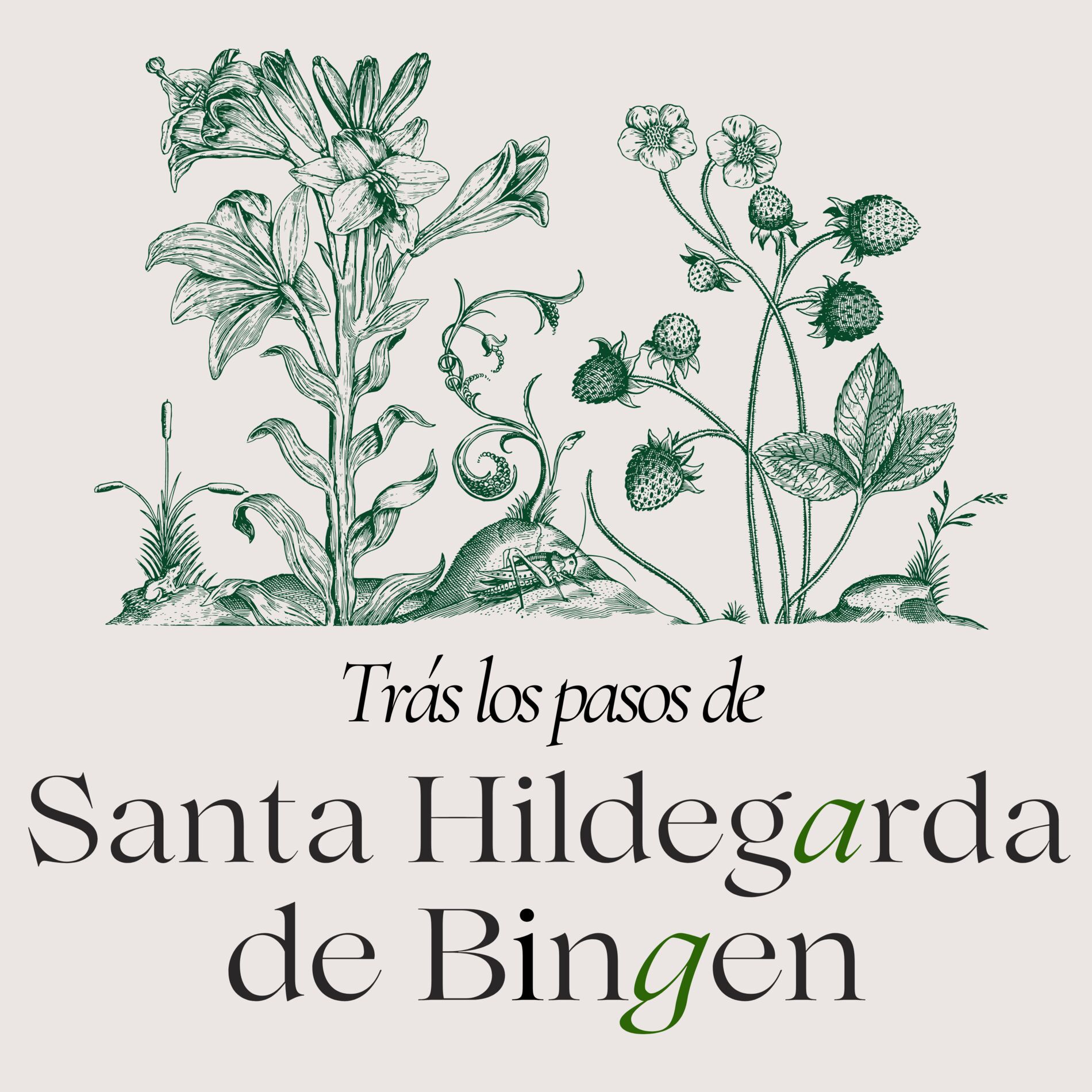 Show cover of Trás los pasos de Santa Hildegarda de Bingen