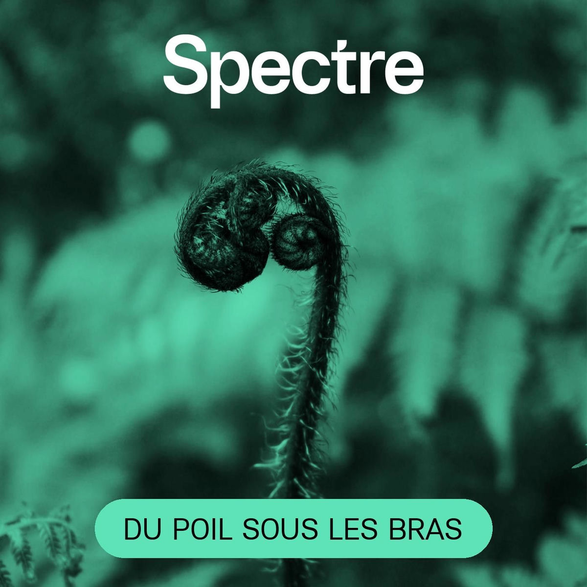 Show cover of Du Poil sous les bras