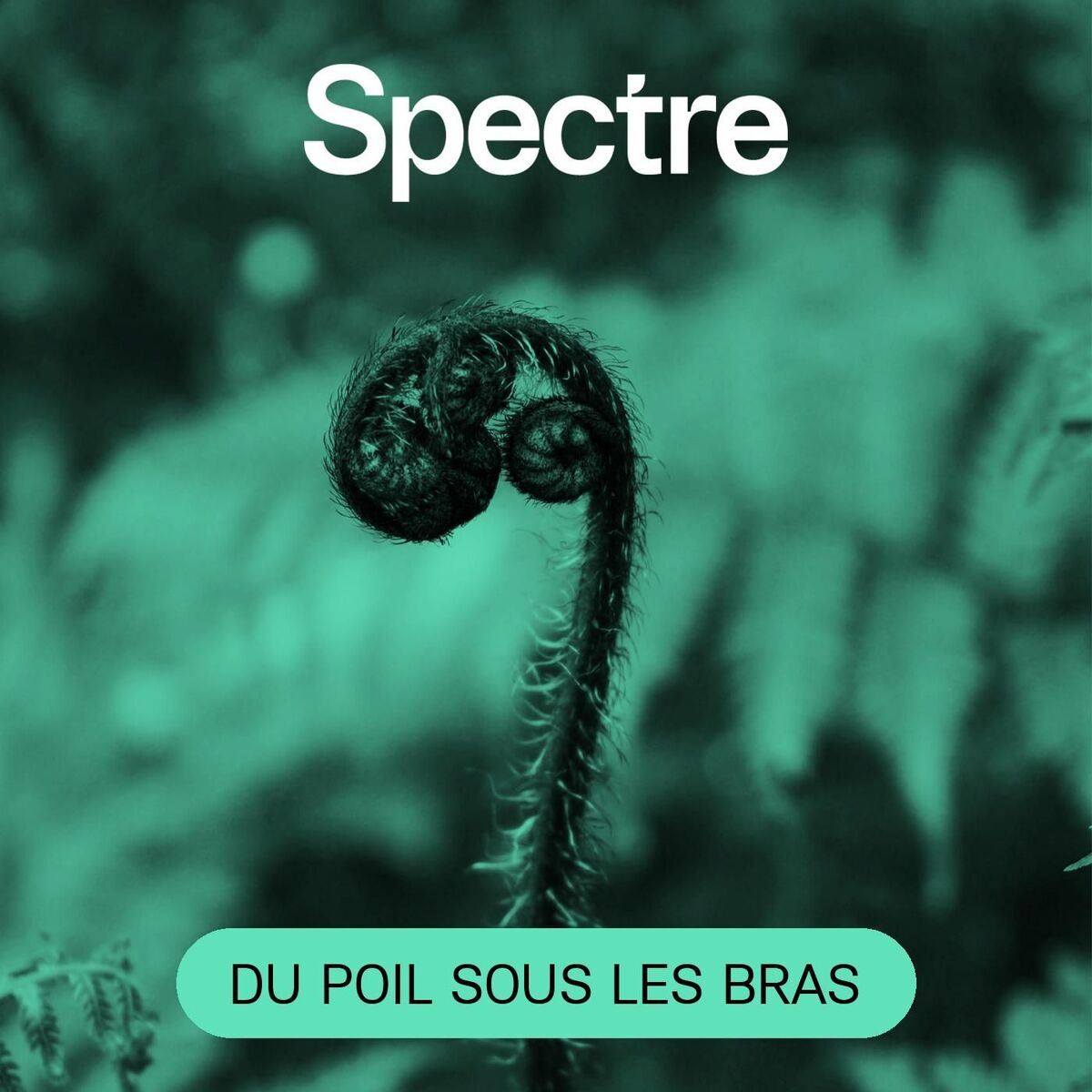Show cover of Du Poil sous les bras