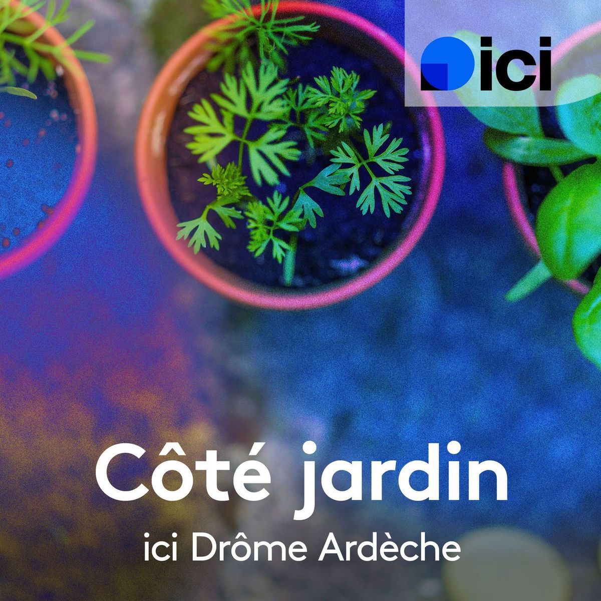 Show cover of Côté jardin, ICI Drôme Ardèche