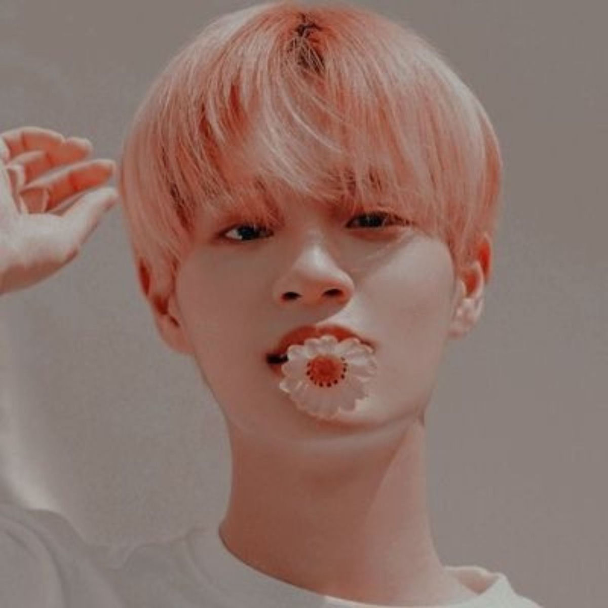 Show cover of kpop covers & songs