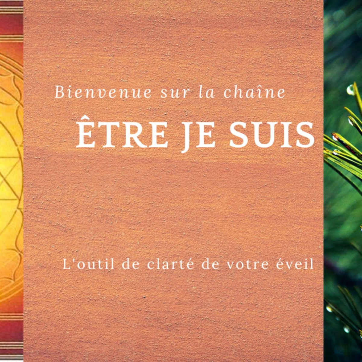 Show cover of Nous sommes ce que nous sommes