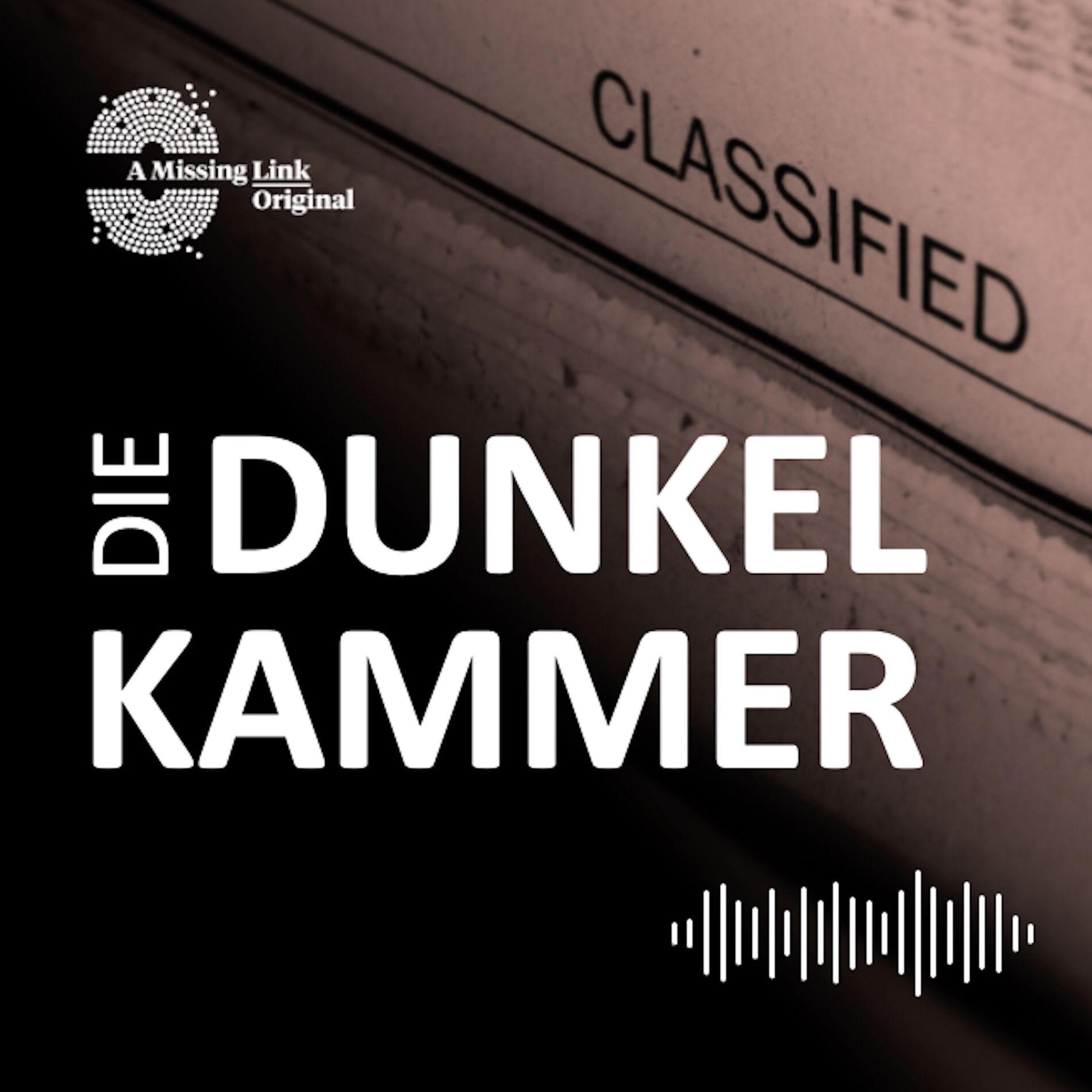 Show cover of Die Dunkelkammer – Der Investigativ-Podcast
