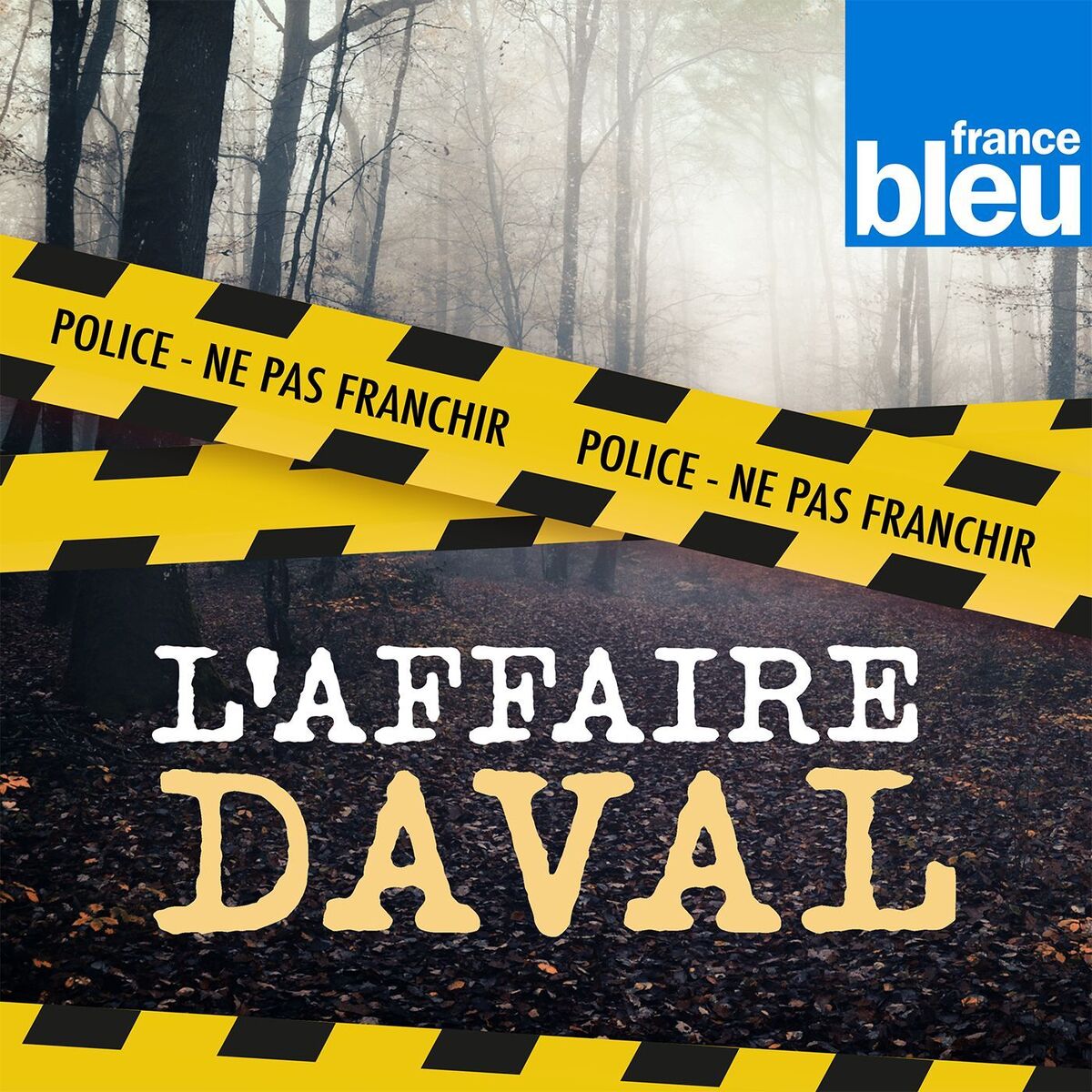 Show cover of Au coeur de l'affaire Daval