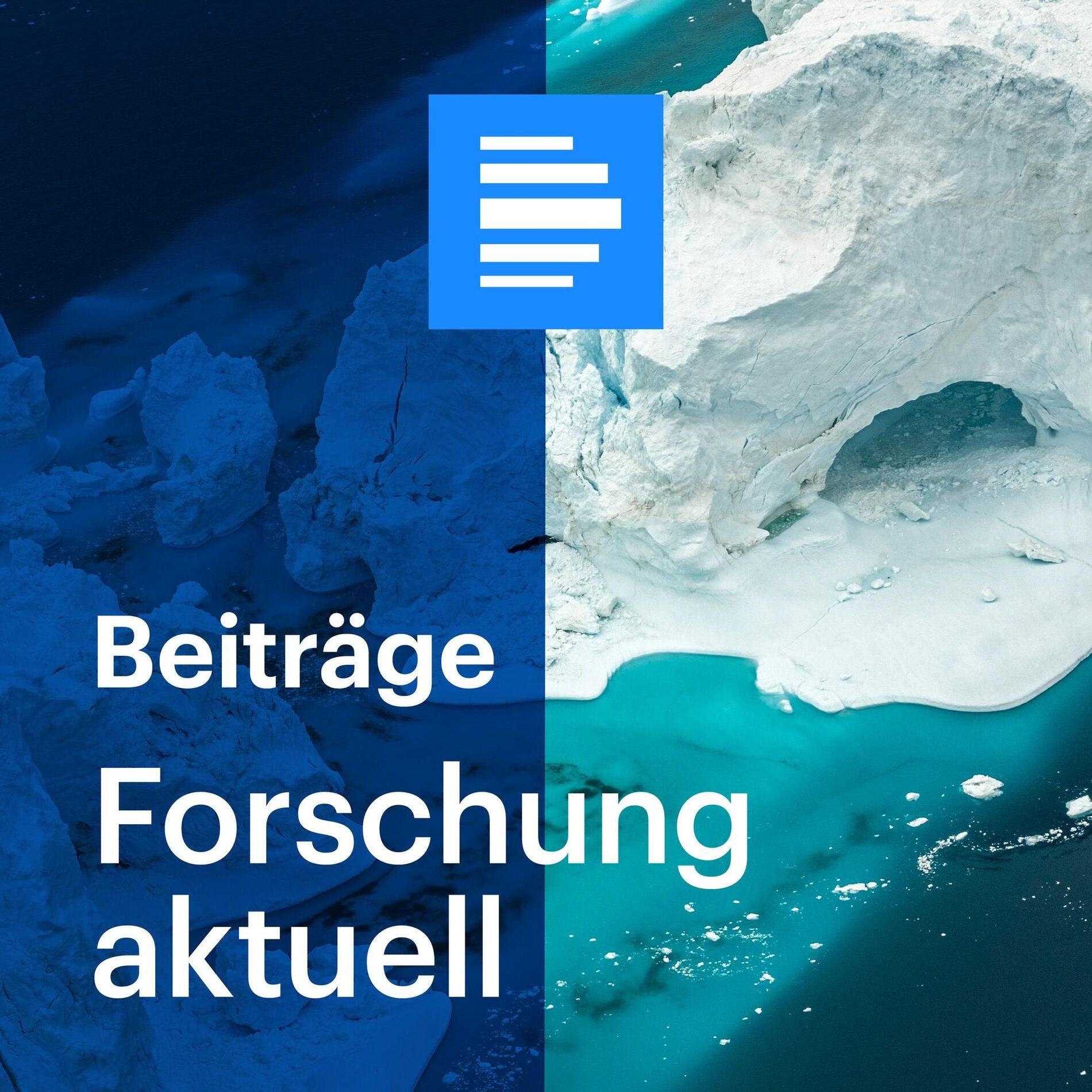 Show cover of Forschung aktuell