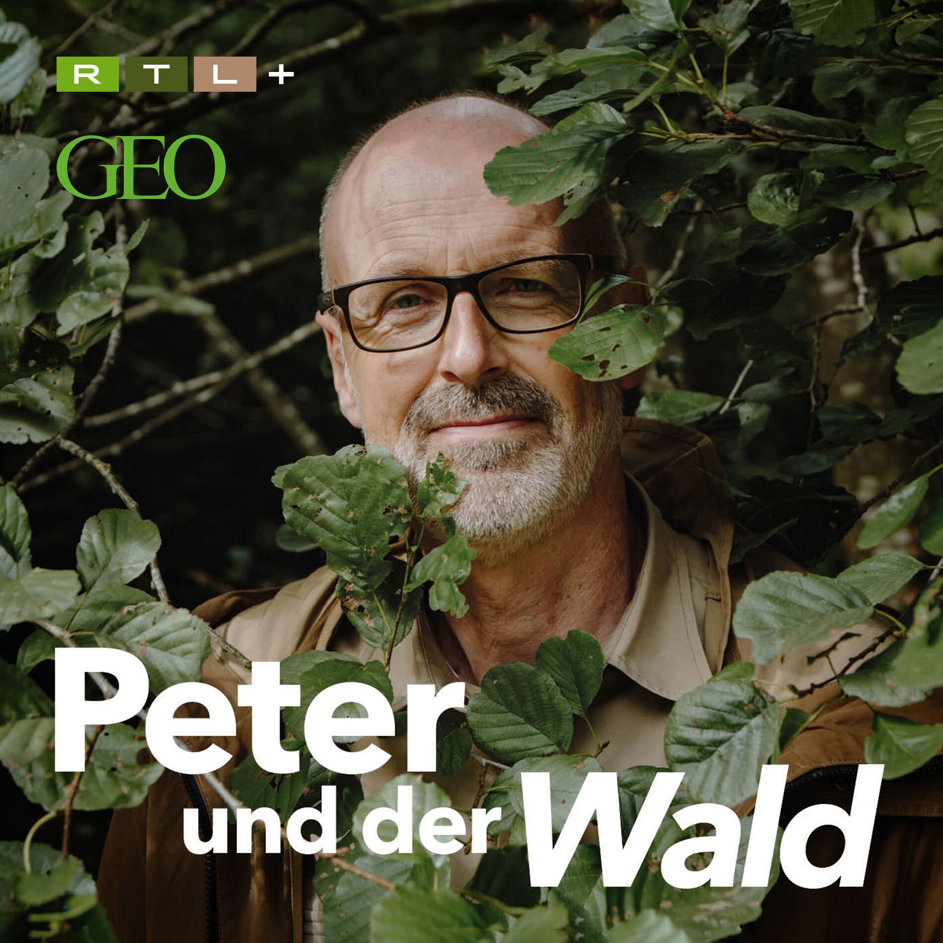 Show cover of Peter und der Wald – ein GEO-Podcast