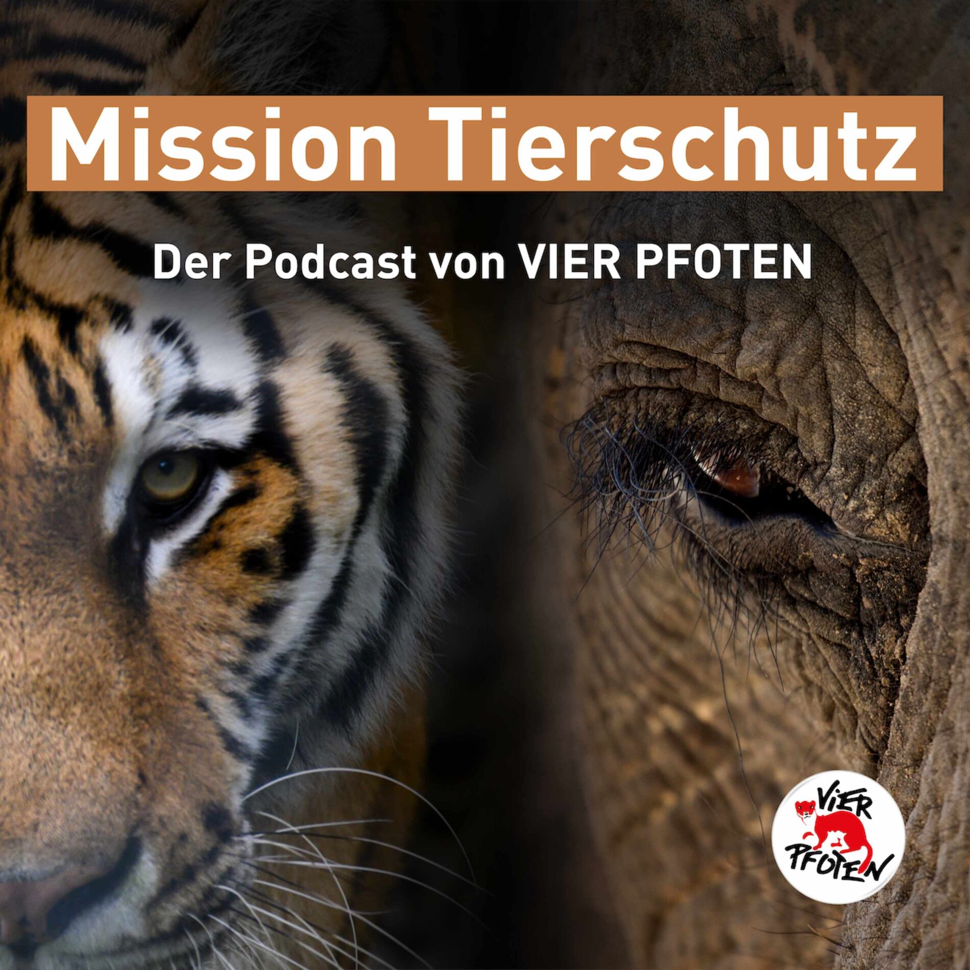 Show cover of Mission Tierschutz – Der Podcast von VIER PFOTEN