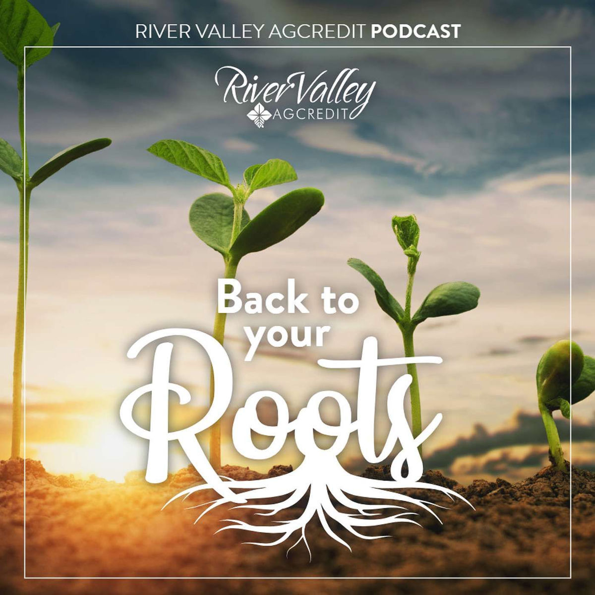Show cover of Back to Your Roots