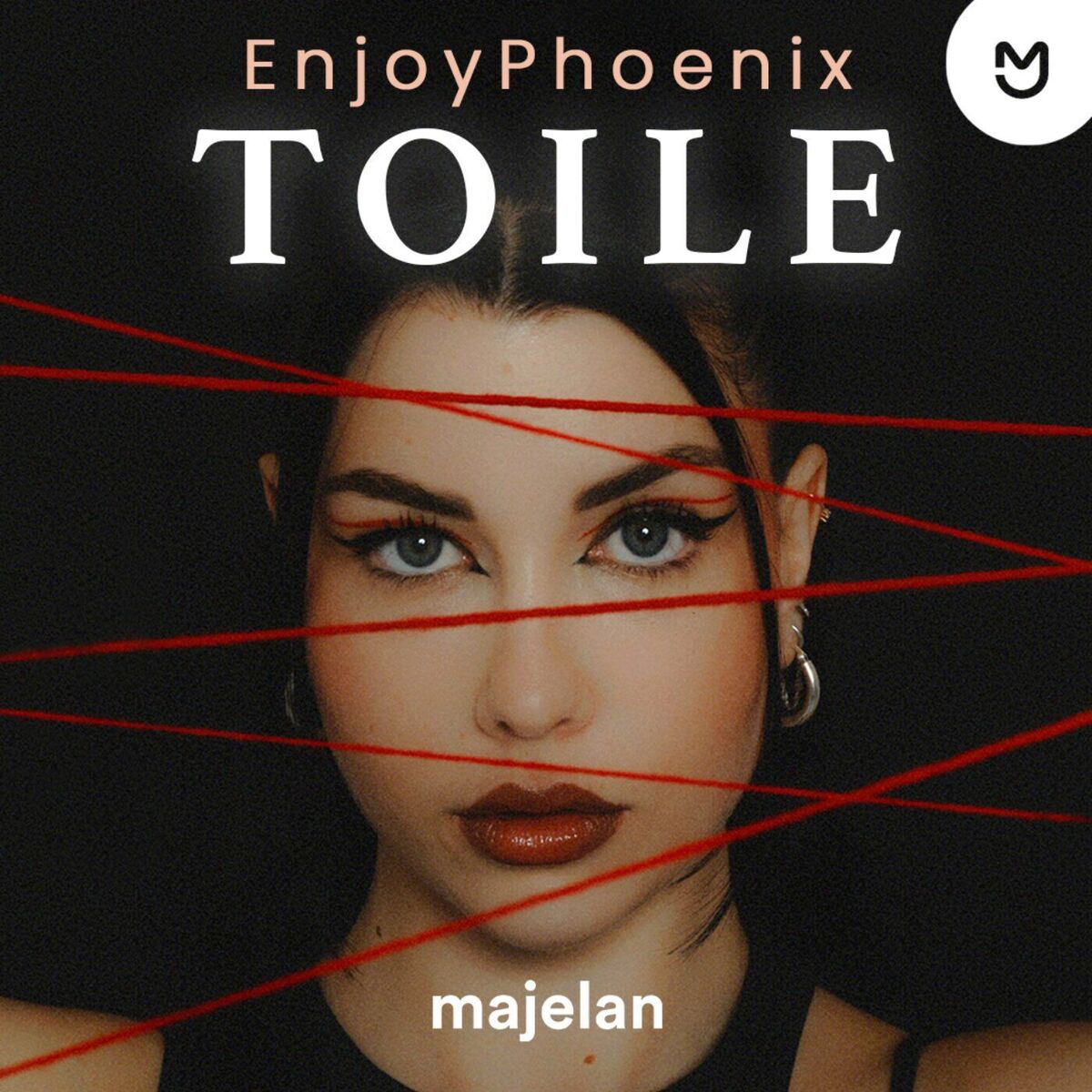 Show cover of Toile