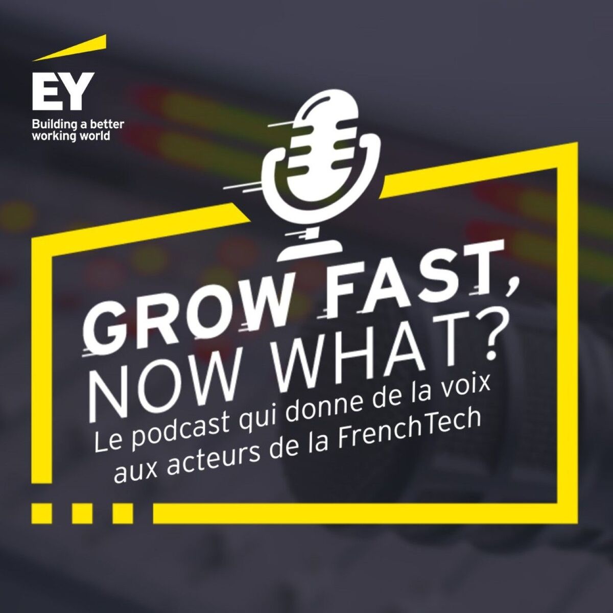 Show cover of Grow Fast, Now What?