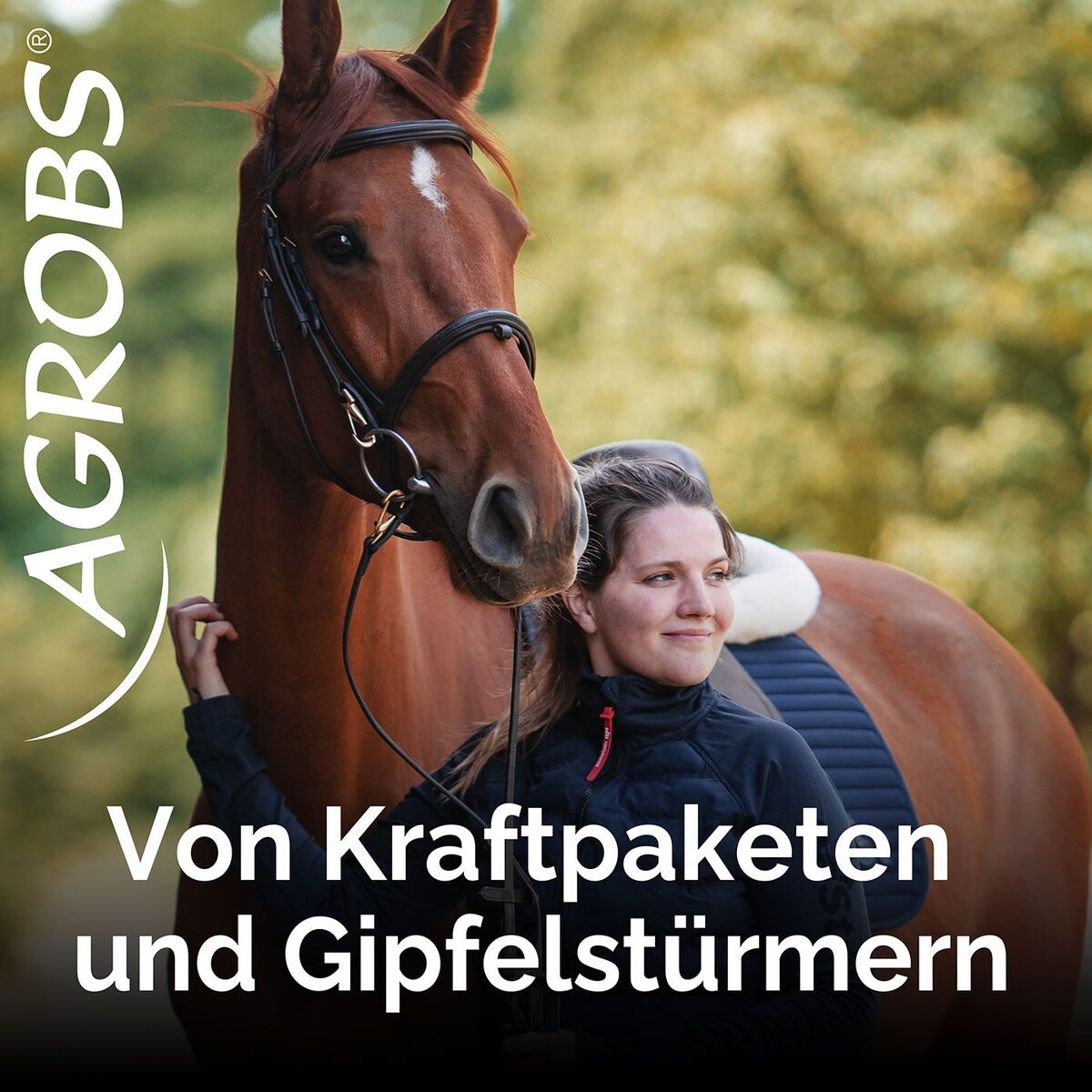 Show cover of Von Kraftpaketen und Gipfelstürmern: Der Reitsport Podcast