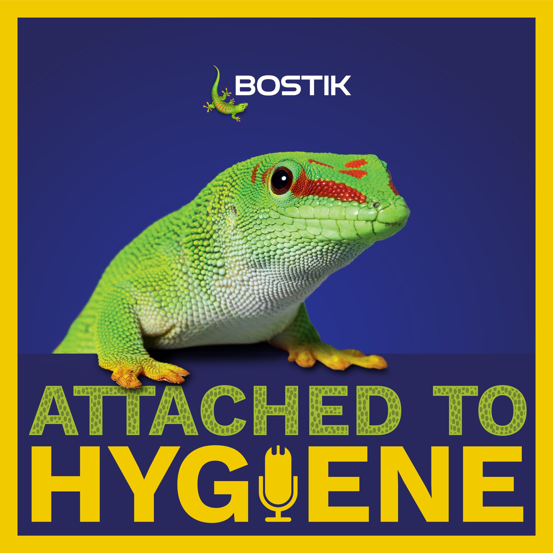 Show cover of Attached to Hygiene