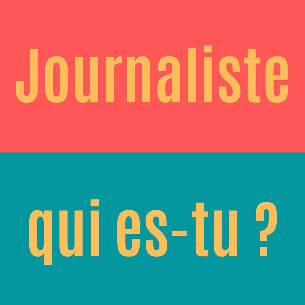 Show cover of Journaliste, qui es-tu ?