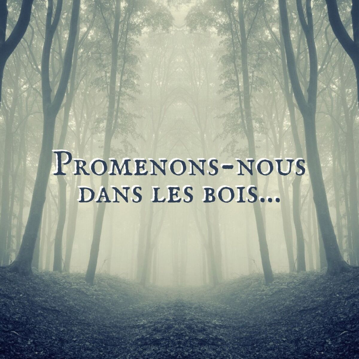 Show cover of Promenons-nous dans les bois