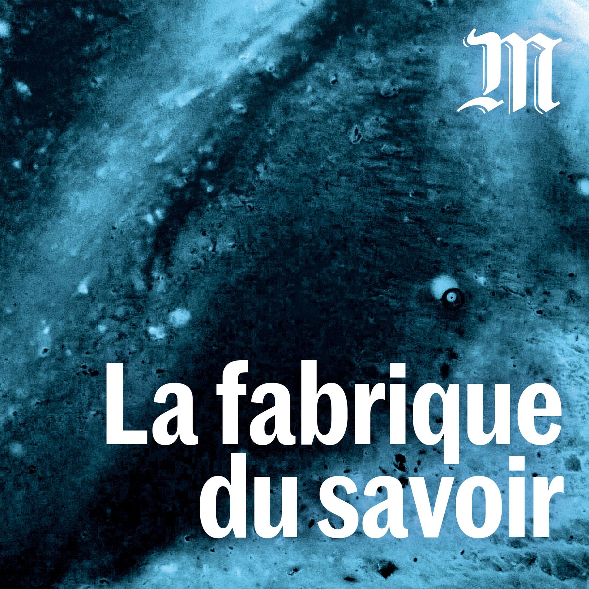 Show cover of La fabrique du savoir