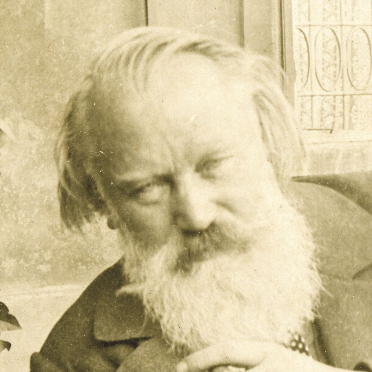 Show cover of Sie lieben Brahms