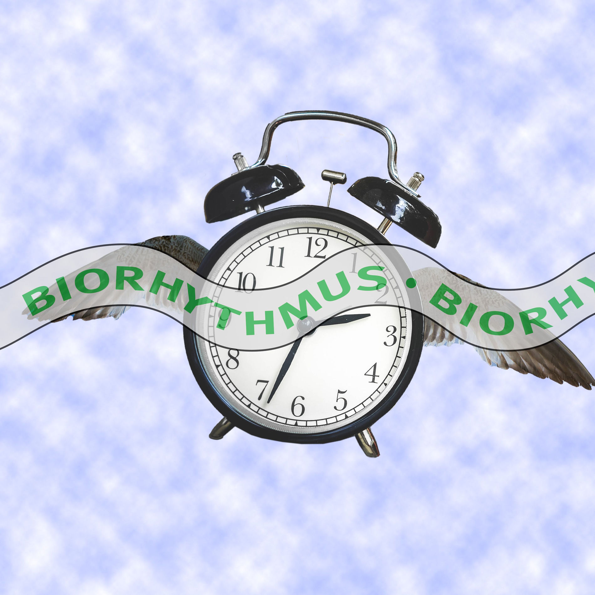 Show cover of Biorhythmus