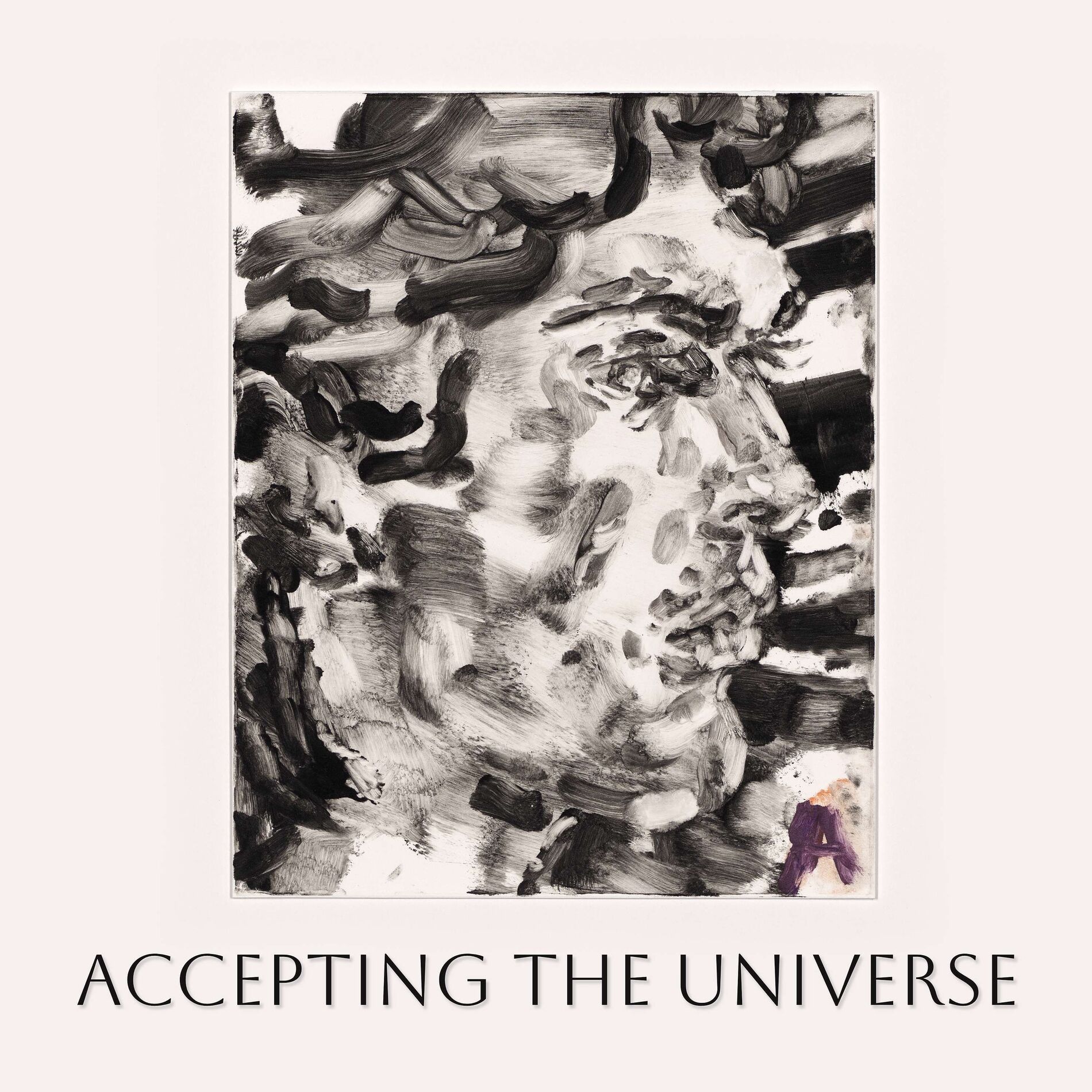 Show cover of Accepting the Universe