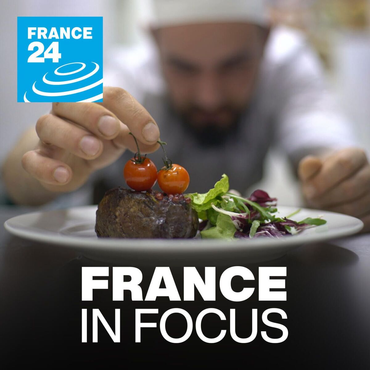 Show cover of France in focus