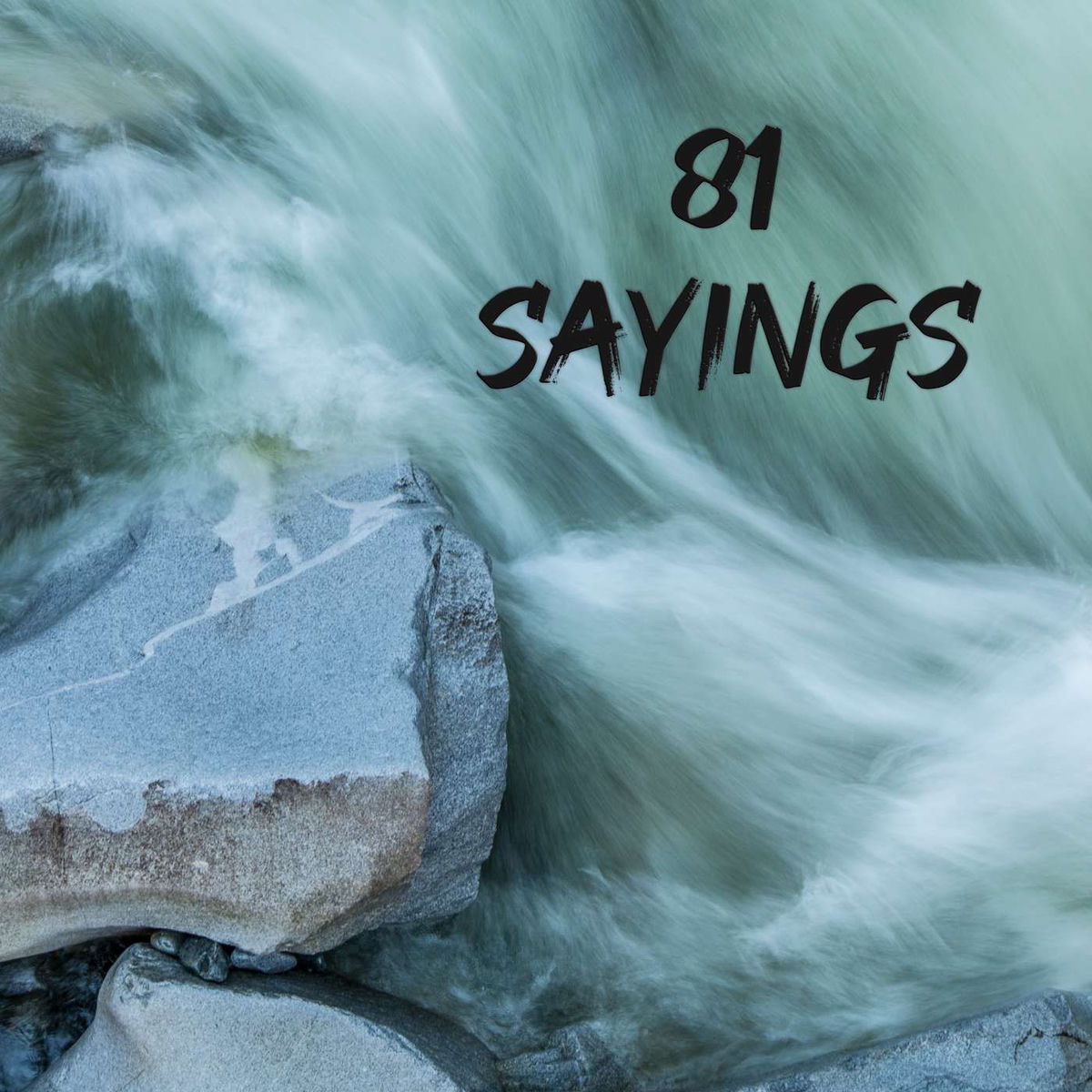 Show cover of 81 Sayings