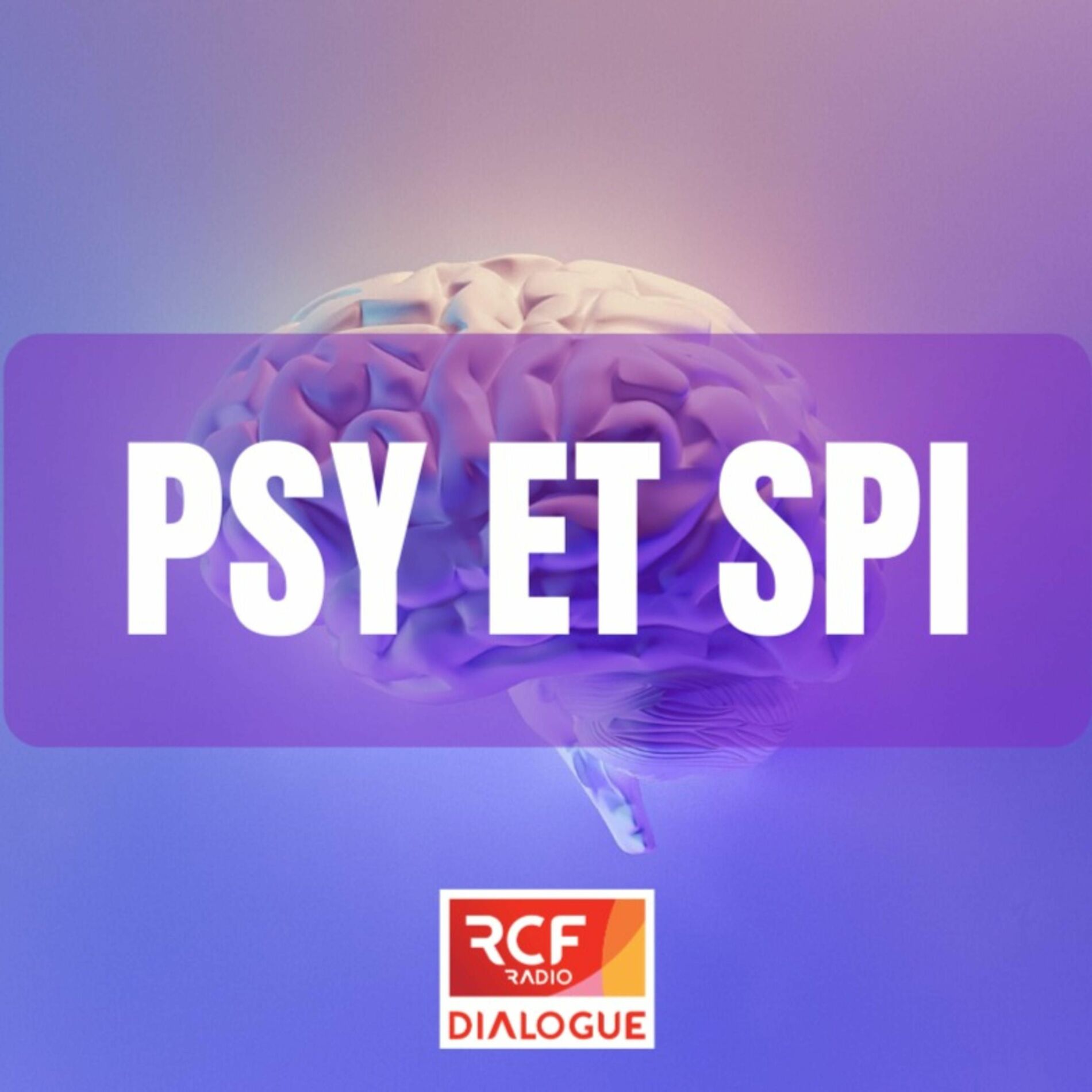 Show cover of Psy et Spi