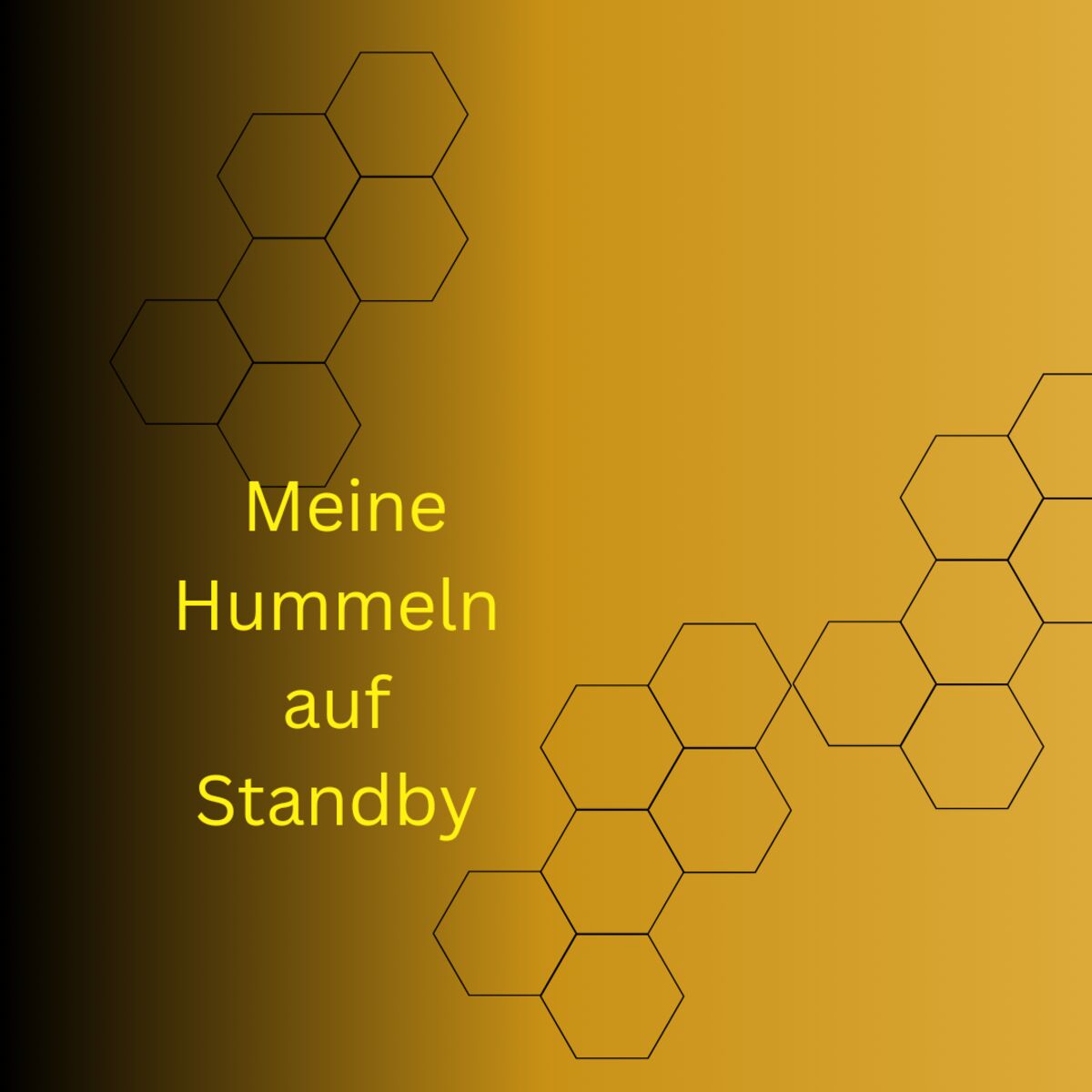 Show cover of Meine Hummeln auf Standby