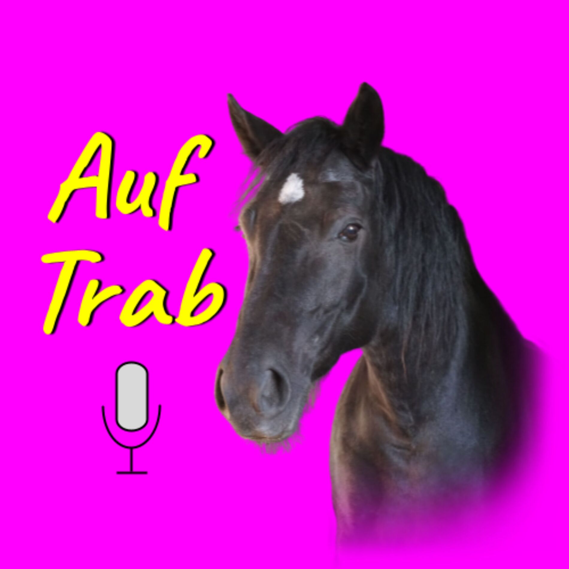 Show cover of Auf Trab