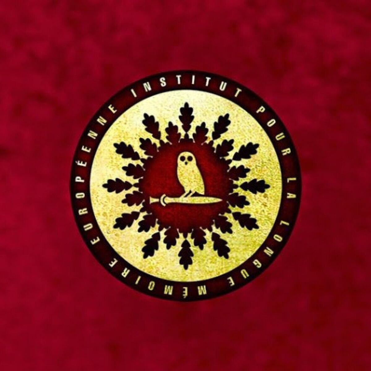 Show cover of Institut Iliade