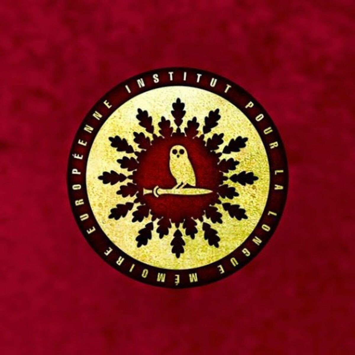 Show cover of Institut Iliade