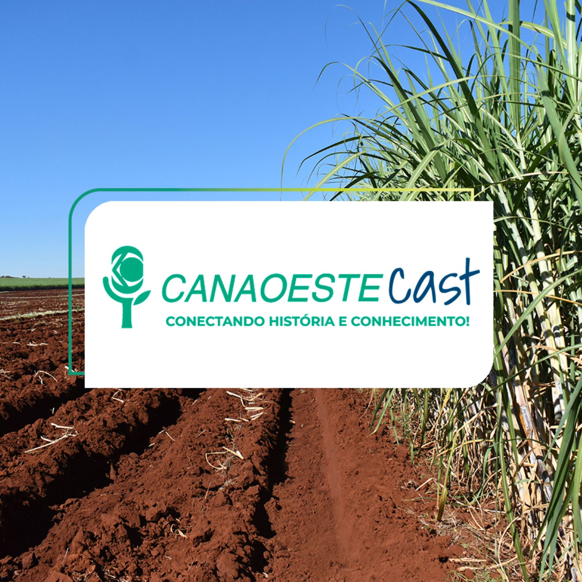 Show cover of CanaoesteCast