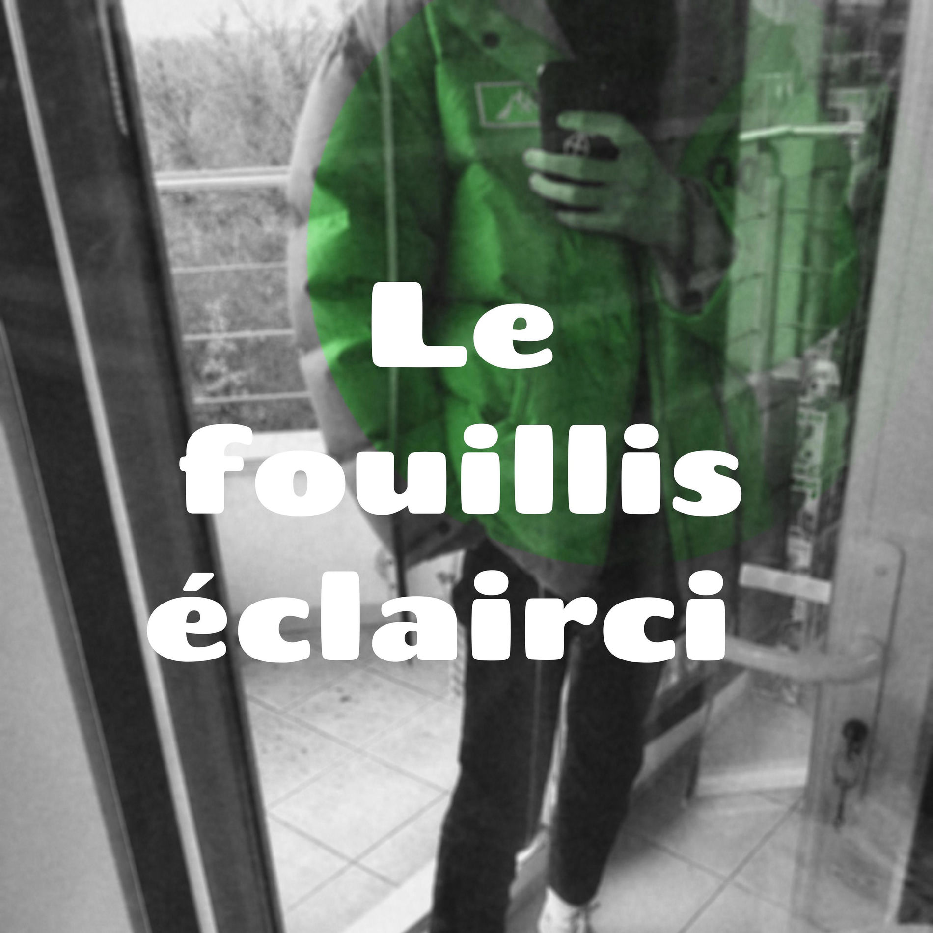 Show cover of Le fouillis éclairci : 2020