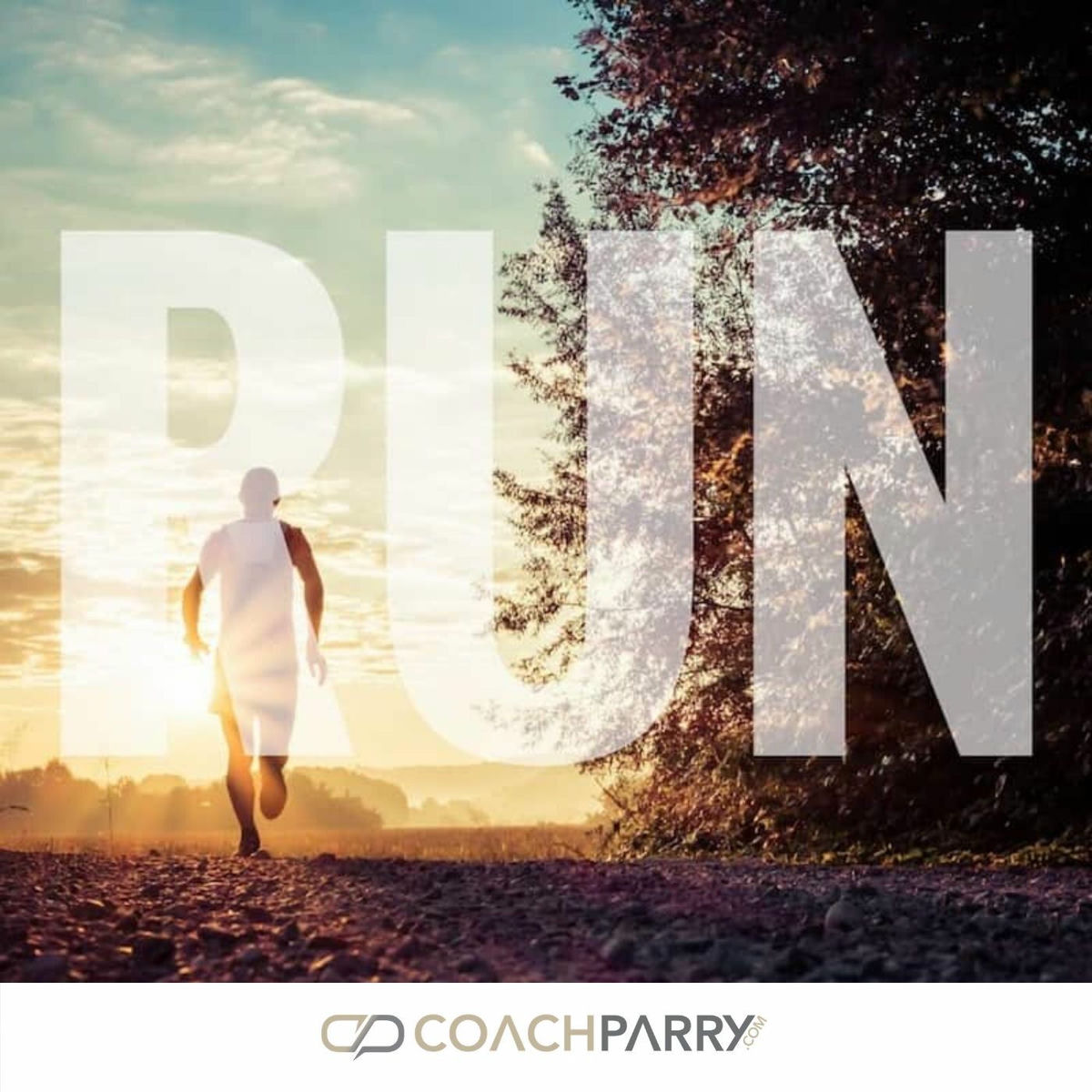 Show cover of RUN with Coach Parry