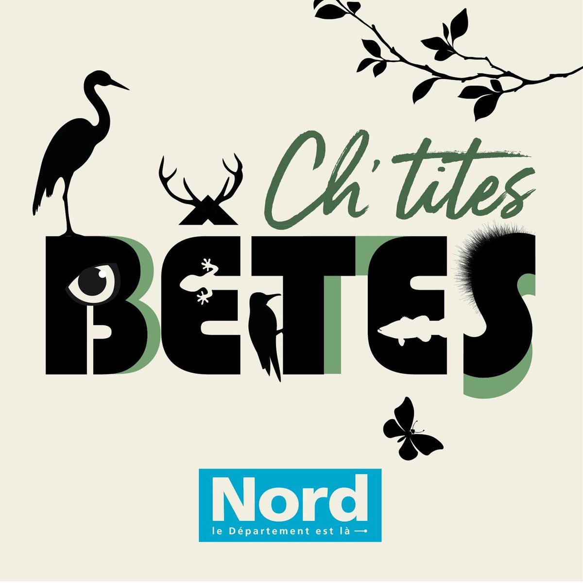 Show cover of Ch'tites bêtes