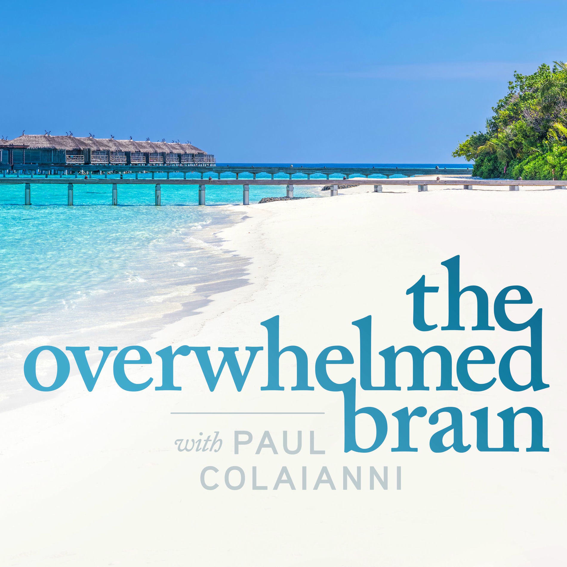 Show cover of The Overwhelmed Brain