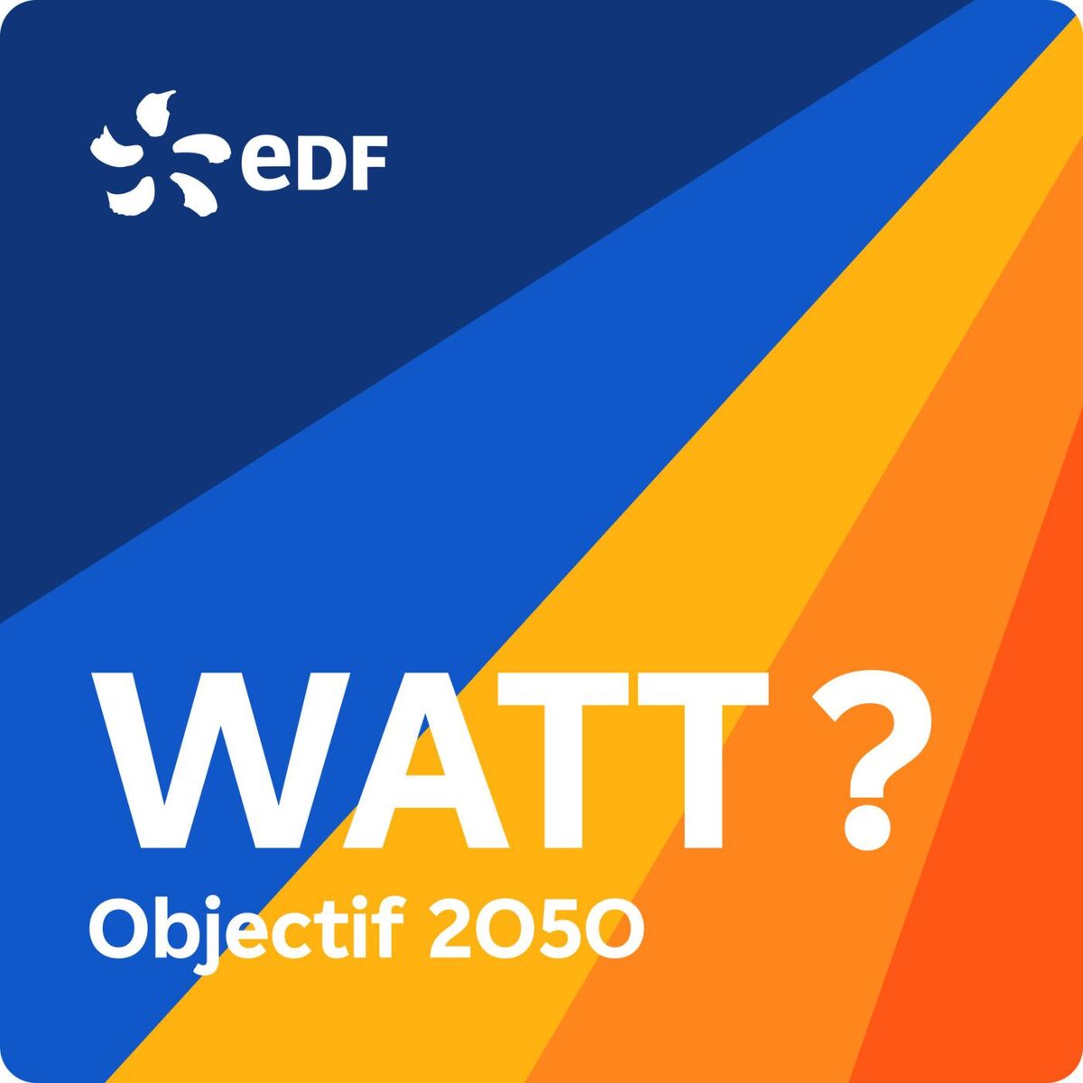 Show cover of Watt ? Objectif 2050