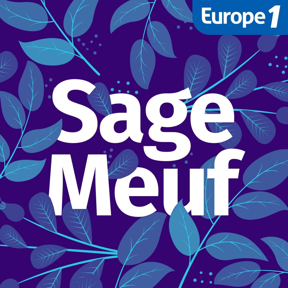 Show cover of Sage-Meuf, le podcast maternité qui vous accompagne pendant la grossesse et après l'accouchement