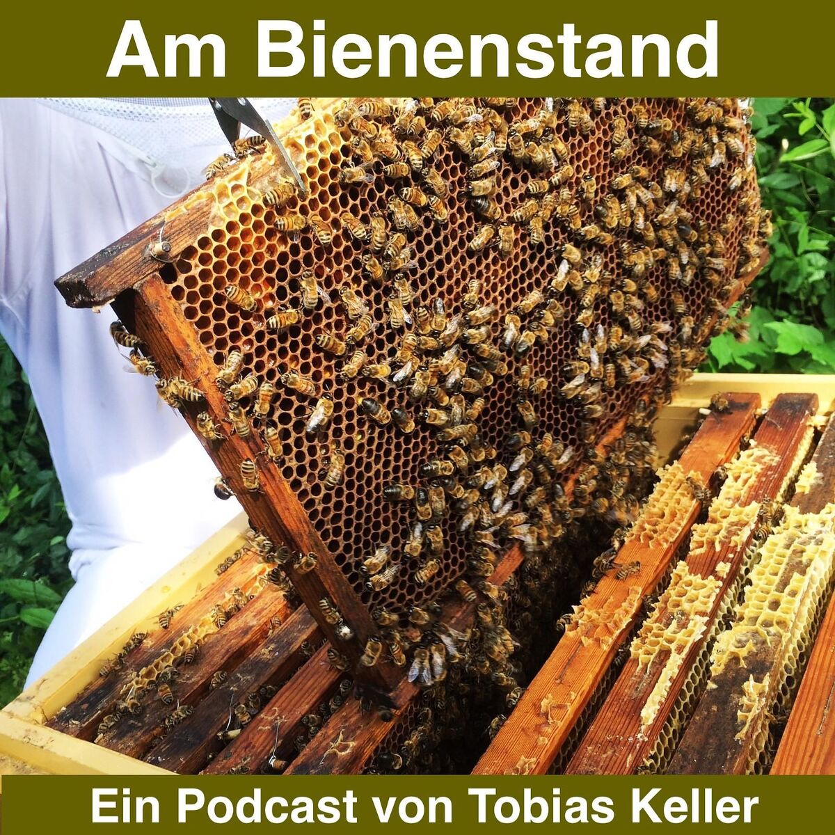 Show cover of Am Bienenstand