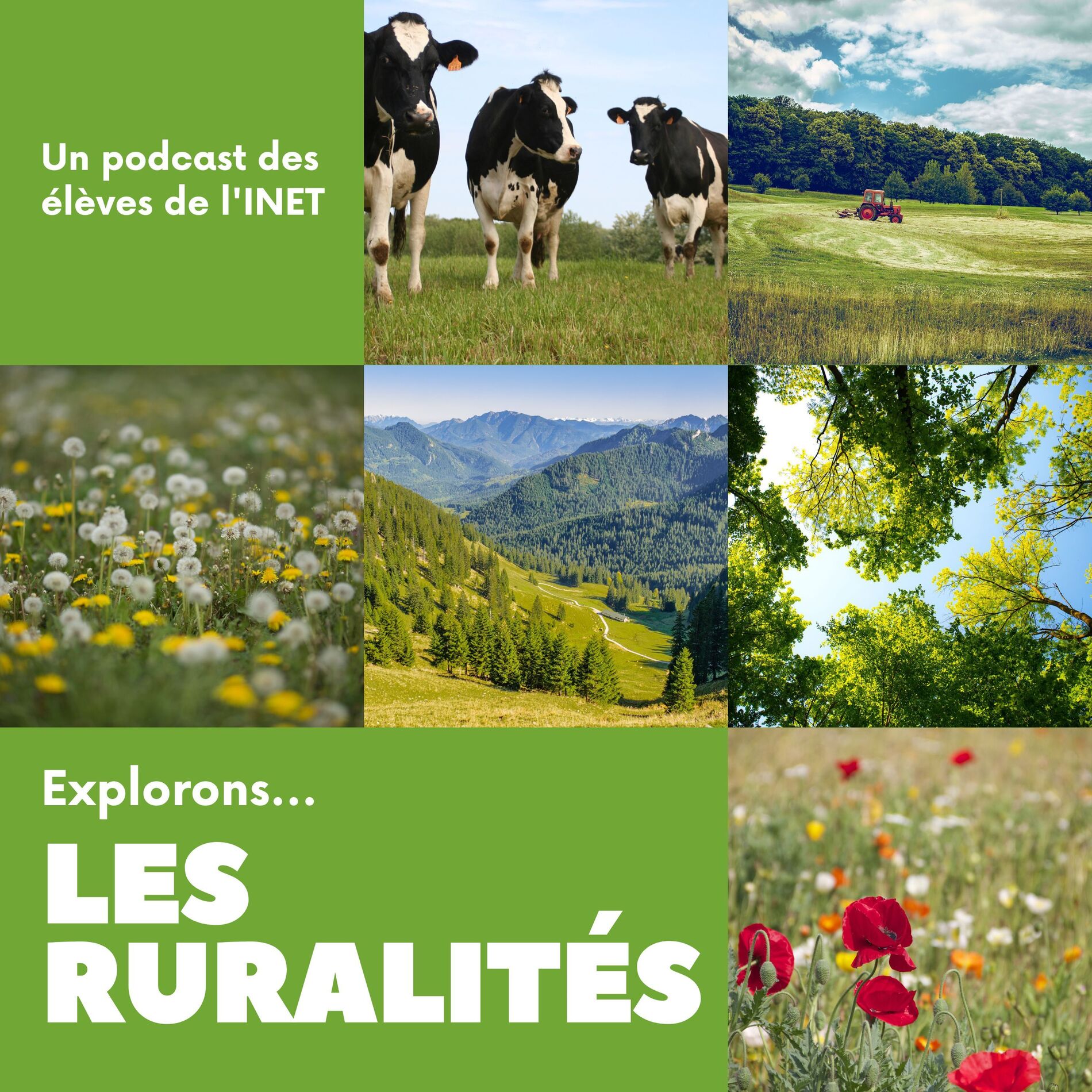 Show cover of Les Ruralités